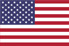 United States of America Flag